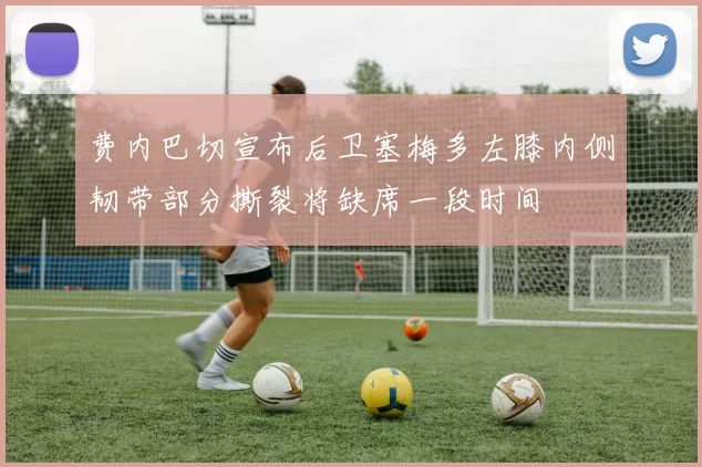 费内巴切宣布后卫塞梅多左膝内侧韧带部分撕裂将缺席一段时间