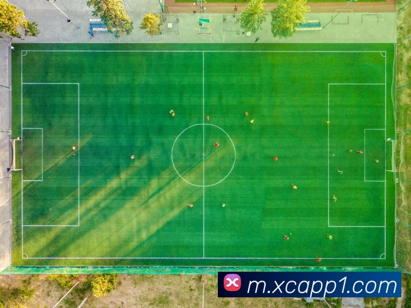 杏彩体育appAPP 高清赛事图